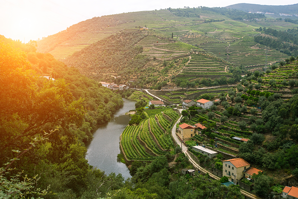 douro-valley-portugal