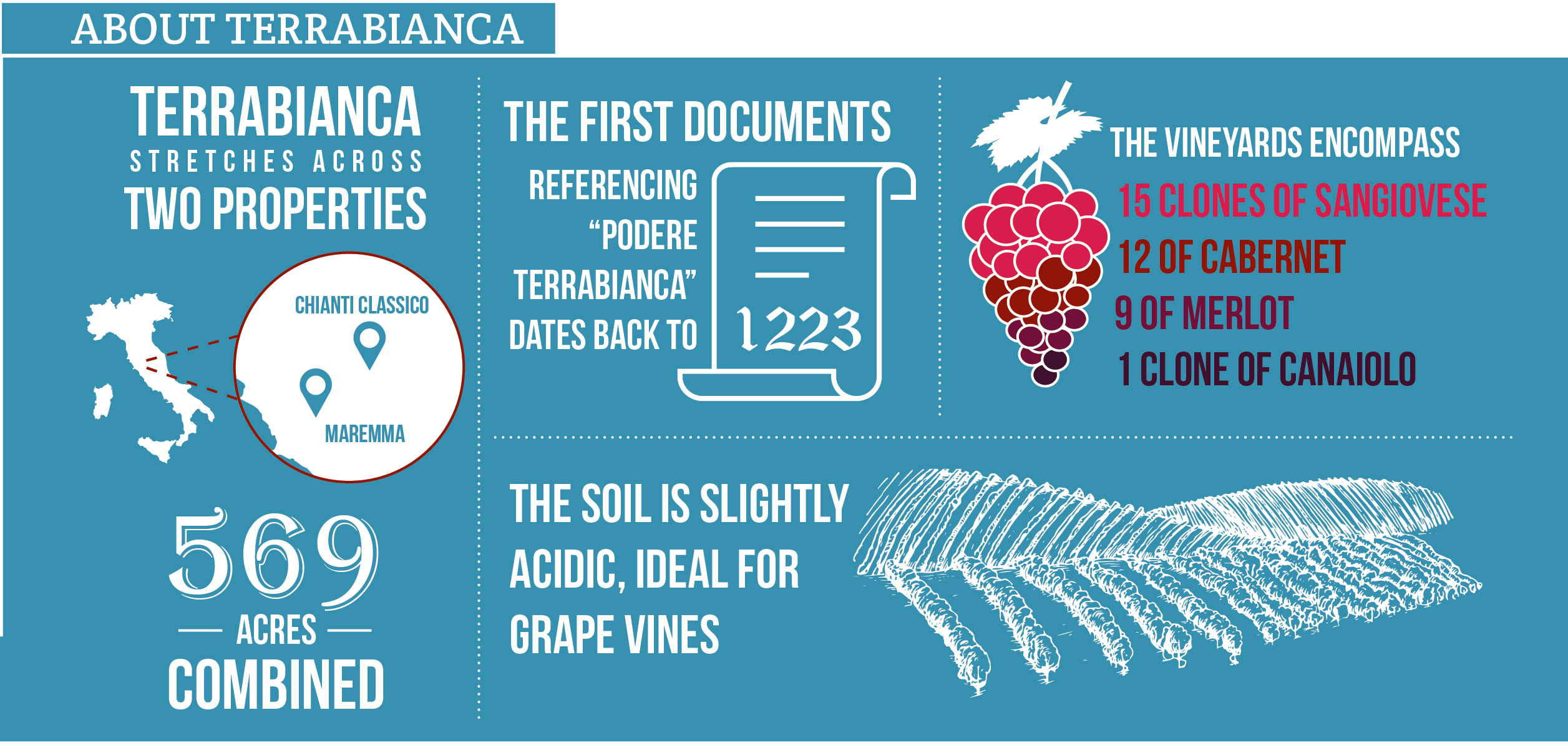 Terrabianca infographic