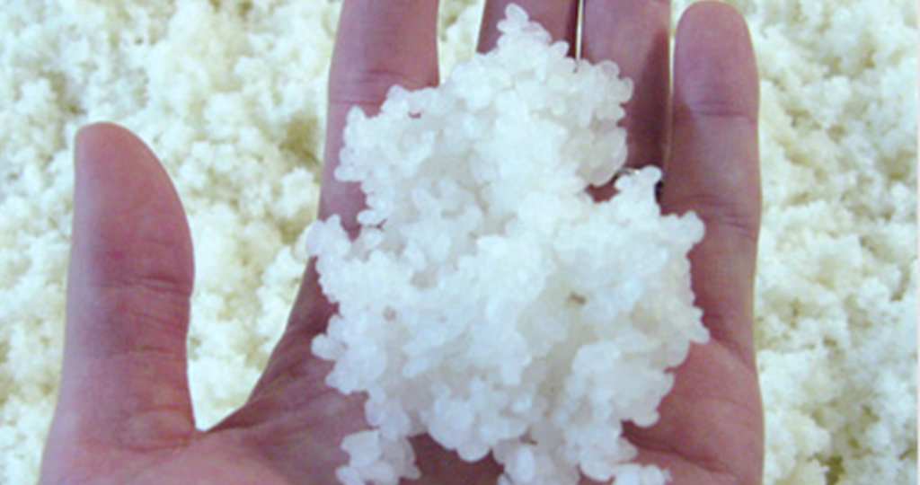 Koji is steamed rice that has had an exquisite and benign fungus introduced onto it.