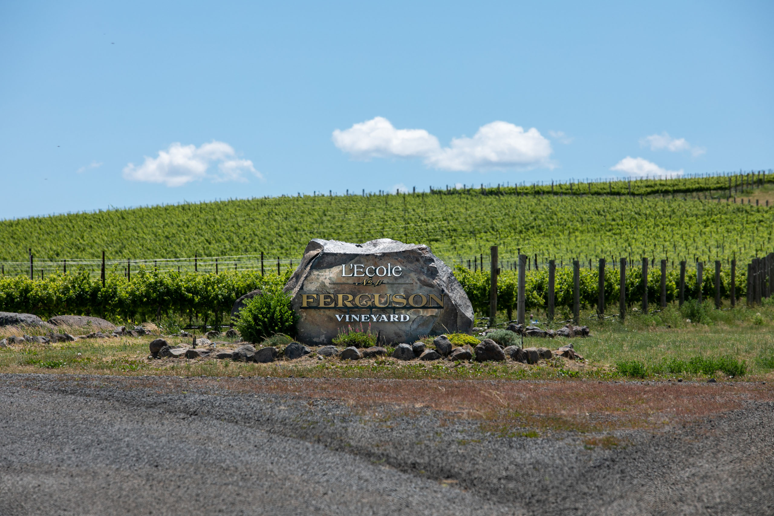 Ferguson Rock in front of vineyard